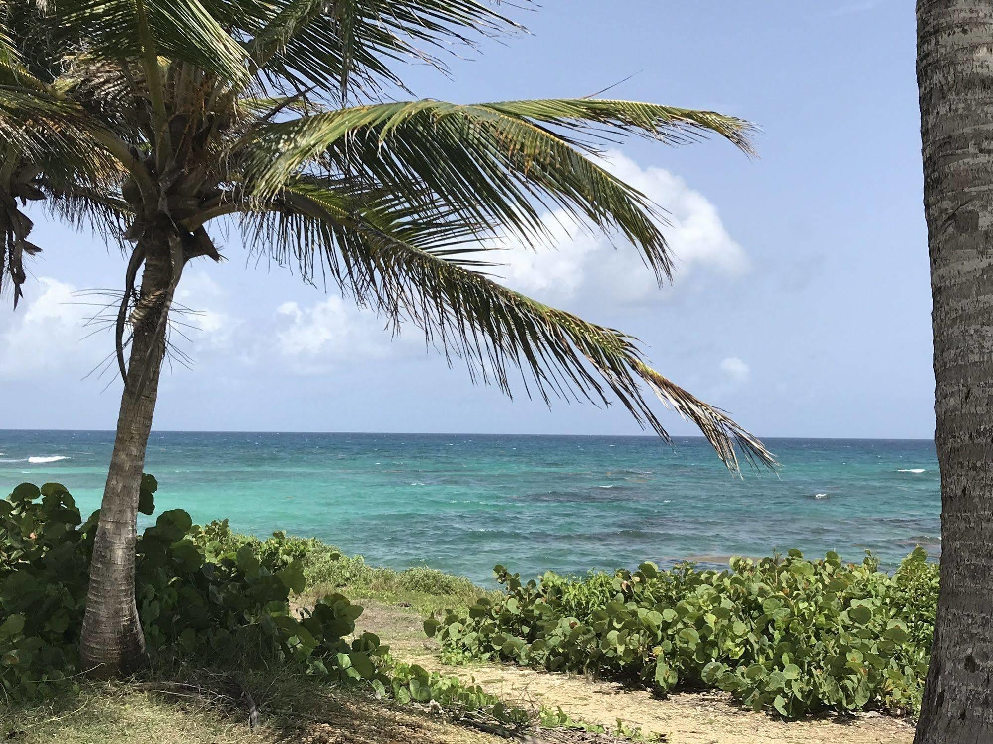 Ti.Maanga Vue Mer Pieds Dans L'Eau Apartment Saint-Francois  Exterior photo